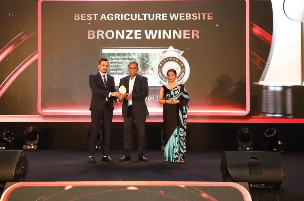 Banners Best Web Developer BestWeb.LK 2025 Image 02
